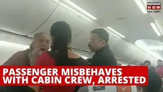 SpiceJet Viral Video | Passenger 'Inappropriately' Touches Female Crew Member, Arrested