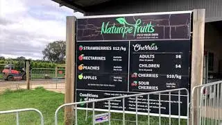 Bacchus Marsh, VIC, Cherry and strawberry picking