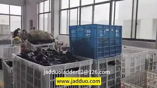 From Our Factory to Your Home: We Export Trust Worldwide!