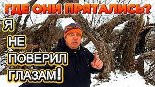 ШОК на реке! Опустил камеру под лёд и дар речи потерял... 😱🐟