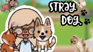 Stray Dog Toca Boca Short Story 🫧✨️🥹 #tocaboca #tocalifeworld