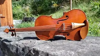 My Latest Small Viola is Finished!