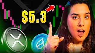 🔒XRP DON'T SELL NOW 🎯SUI's first DEX with NATIVE TOKEN 🤩 $HYPESUI Presale