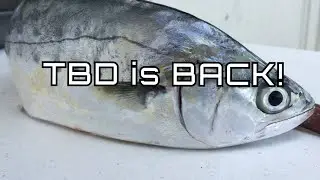 TBD Fishing Returns! Part 1