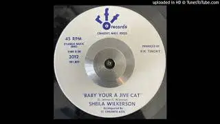 Sheila Wilkerson - Baby Your A Jive Cat (RFT) 1969 VOCAL JAZZ SISTER FUNK SOUL 45