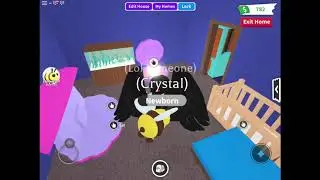 Roblox adopt me-Bee pet and jungle egg! Obtaining both!