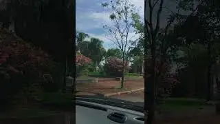 11 de novembro de 2024. Pra&ccedil;a central de Malu, PR.