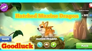 Hatched Maxine Dragon✨|| My 4th Primal || 4th Primal Event || Goodluck. [Dragon Mania Legends]