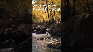 🌍💚 Let the refreshing mist of a waterfall invigorate your spirit!