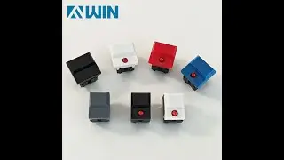 Fvwin Electronics Momentary LED Push Button Switches
