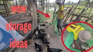 Wow strange idea, Create trap for catch duck