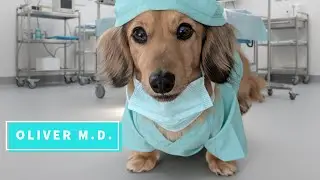 Emergency Surgery! Dr. Oliver Scrubs In. The Most INTENSE Toy Surgery You'll Ever See!