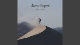 Secret Sahara