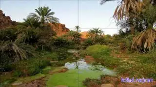أهداء لـ اهل حائل من هدهد نجران
