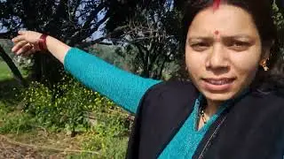 मम्मी उन को दिखा बाघ जंगल मै...