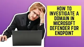 HOW TO INVESTIGATE A DOMAIN IN MICROSOFT DEFENDER FOR ENDPOINT