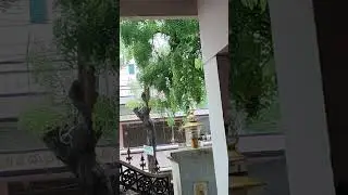 Life's not about waiting for the storm to pass&hellip;. ... #music #rain #nature #trendingshorts