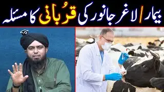 😭 Beemar Janwaron Ki Qurbani | Kharidnay Kay Baad Janwar Main Beemari | Engineer Muhammad Ali Mirza