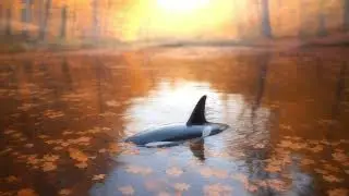 An Orca Pond in an Autumn Forest