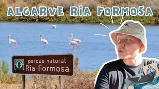 Wanderung durch den Ria Formosa - Freilebende Flamingos - Fuseta Beach - Burg Tavira