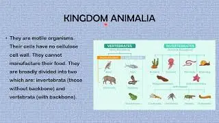 CLASSIFICATION OF LIVING THINGS THE KINGDOMS SS1