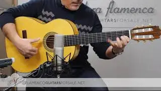 VIDEO TEST: Jes&uacute;s de Jim&eacute;nez 2018 flamenco guitar for sale