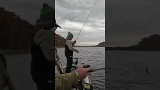 Watch your eyeballs 👀 😂 #waterlandsunglasses #rynopower #denalirods #fish #sunline