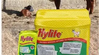 Hylite Powder||Nutritional Supplement of Specific Minerals $ Vitamin for pregnant Animals