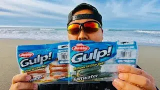 Surf Perch Fishing with Berkley GULP SHRIMPS (SURPRISING)!!