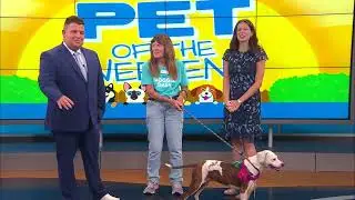 Pet of the weekend