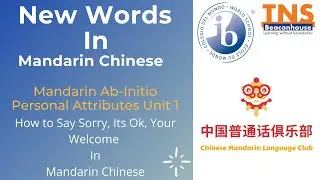 New Words | Mandarin Ab-Initio | Personal Attributes |  Lesson With TNS Beaconhouse IBDP Students