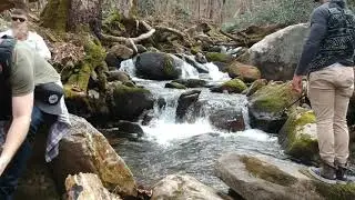 Baskins Creek Falls Hike Gatlinburg