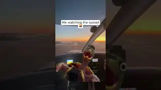 Sunset Landing 🌇 | Golden Hour Flight Training POV ✈️