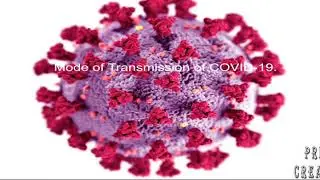 Current Outbreak of Novel Coronavirus Disease