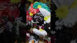 only krishna lover understand 🌺