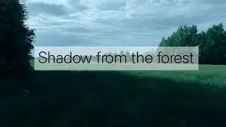 Shadow from the forest / Тень от леса