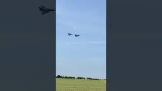 Requin Mike Rafale display
