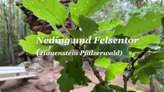 Neding und Felsentor Hauenstein Pf&auml;lzerwald