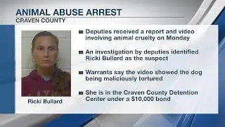 Craven County woman arrested in connection with video of dog abuse