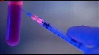 Jurassic Park ~ BINGO! DINO DNA!