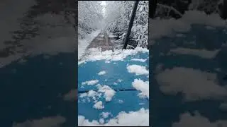 17 декабря 2023 г.