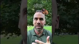 Pet Allergy Testing&hellip;the RIGHT Way!