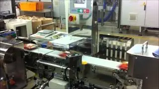 Automatic Checkweigher