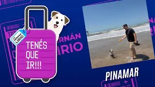 #TenesQueIr l Programa del 18 de enero de 2026 - Pinamar, Argentina
