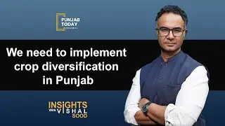 We need to implement crop diversification in Punjab | Insights with Vishal Sood | Punjab Today