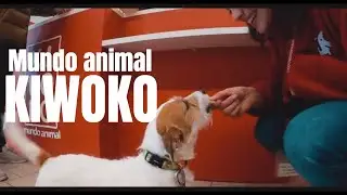 🔝KIWOKO: la MEJOR tienda de ANIMALES # Vlog4