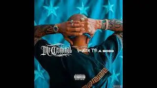 Mr  Criminal   Soldier to a Boss