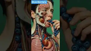 When you eat. blueberries 🫐#foryou #3danimation #facts #health
