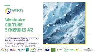 WEBINAIRE CULTURE SYNERGIES Cycle Travail #2 Transition agro&eacute;cologique, transition professionnelle
