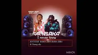 Success feat Yung sky - PANSAKA I never knew ( Official Audio)